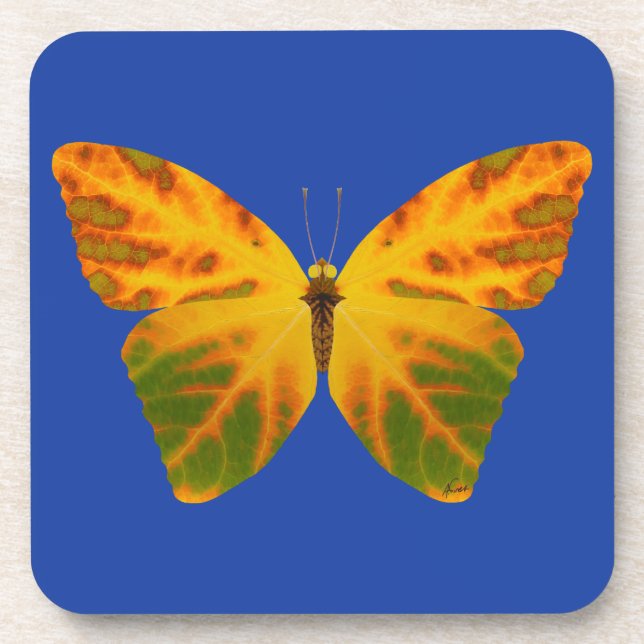 Aspen Leaf Butterfly 1 Coaster (Front)
