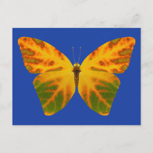 Aspen Leaf Butterfly 1 Postcard