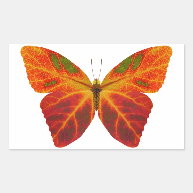 Aspen Leaf Butterfly 2 Rectangular Sticker (Front)