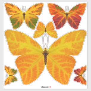 Aspen Leaf Butterfly 3
