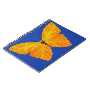 Aspen Leaf Butterfly 3 Notebook