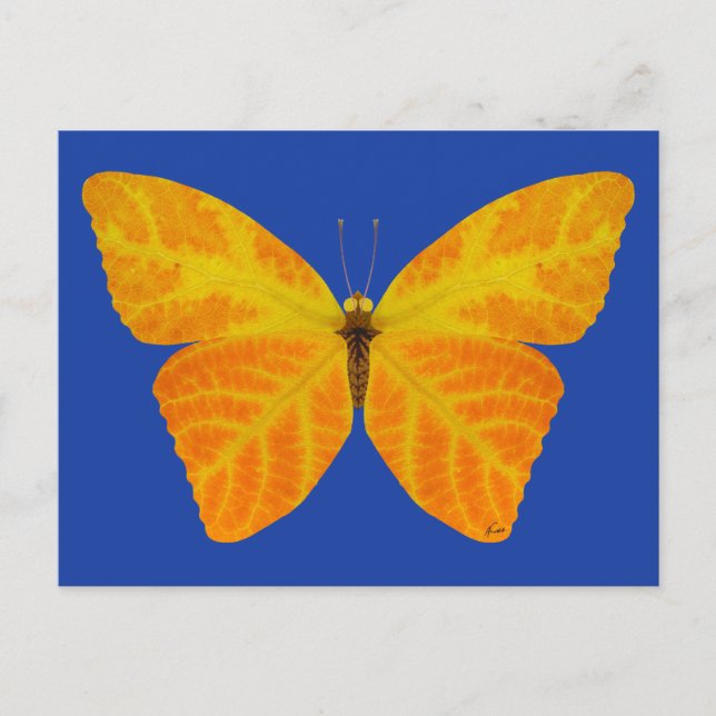 Aspen Leaf Butterfly 3 Postcard (Front)