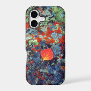 Aspen leaf on a lichen covered rock
