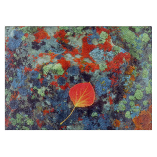 Aspen leaf on a lichen covered rock cutting board