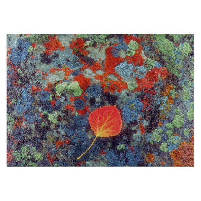 Aspen leaf on a lichen covered rock cutting board (Front)