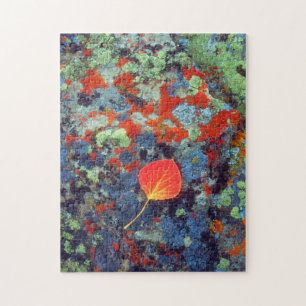 Aspen leaf on a lichen covered rock jigsaw puzzle