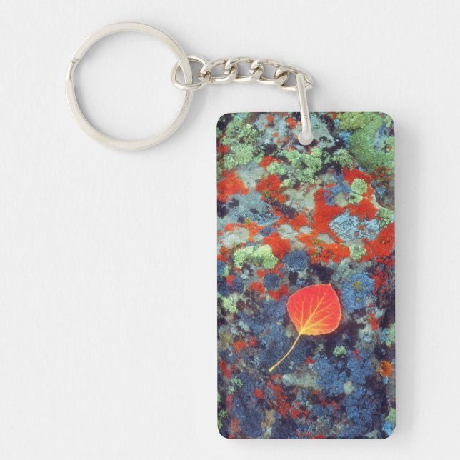 Aspen leaf on a lichen covered rock key ring (Front)