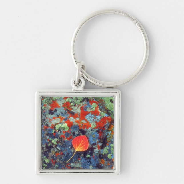 Aspen leaf on a lichen covered rock key ring (Front)
