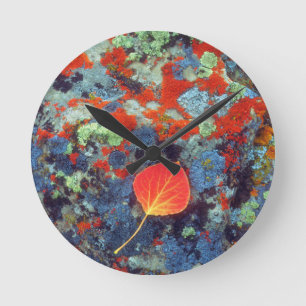 Aspen leaf on a lichen covered rock round clock