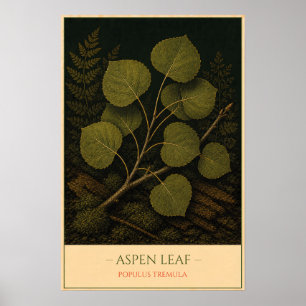 Aspen Leaf Poster
