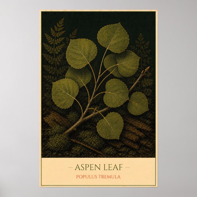 Aspen Leaf Poster (Front)