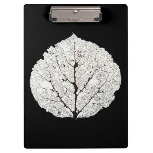 Aspen Leaf Skeleton 1 Clipboard