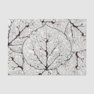 Aspen Leaf Skeleton 1 Tissue Paper