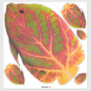 Aspen Leaf Tropical Fish 1