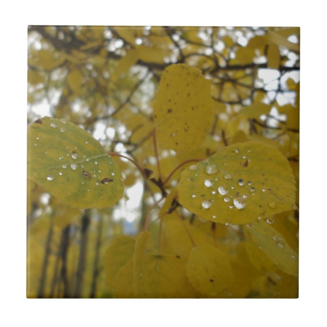 aspen leaves ceramic tile (Front)