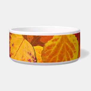 Aspen Leaves Collage Solid Medley 1