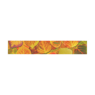 Aspen Leaves Collage Solid Medley 1 Invitation Belly Band