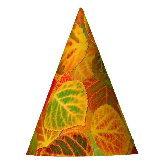 Aspen Leaves Collage Solid Medley 1 Party Hat (Front)