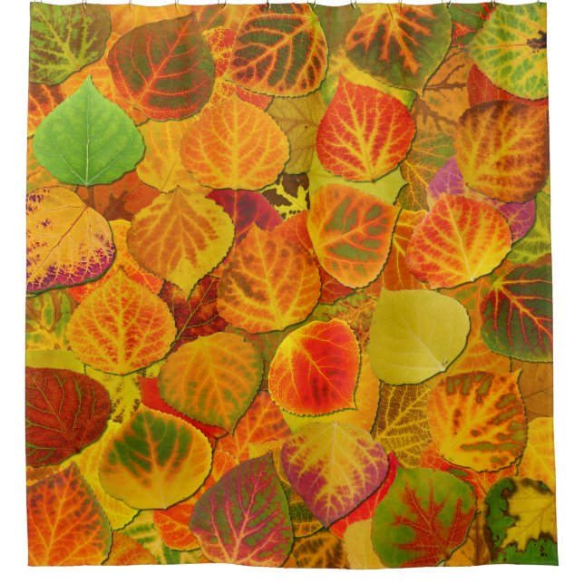 Aspen Leaves Collage Solid Medley 1 Shower Curtain (Front)