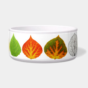 Aspen Leaves Medley