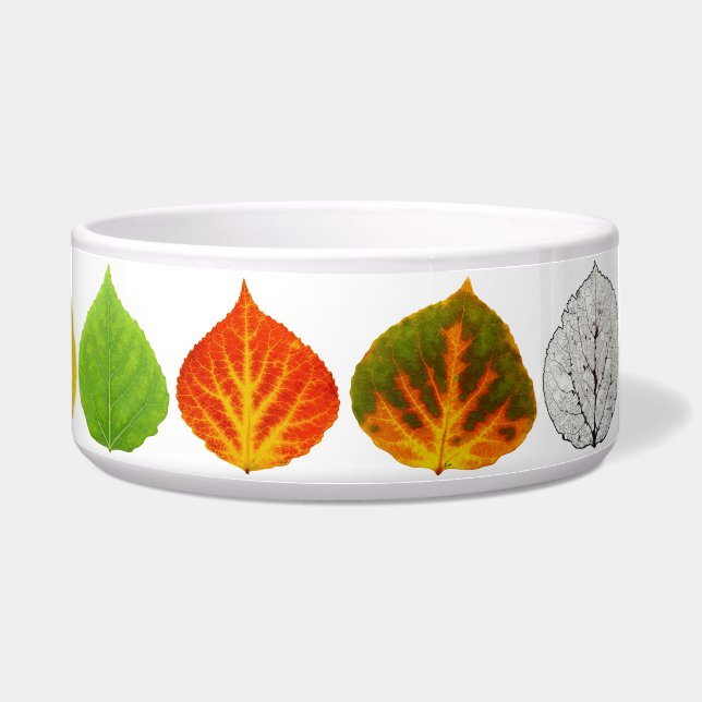 Aspen Leaves Medley (Front)