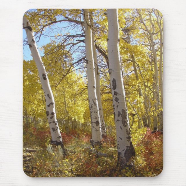 Aspen Splendour Mouse Pad (Front)