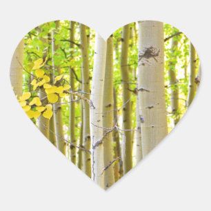 Aspen Tree Forest Autumn Time Portrait Heart Sticker