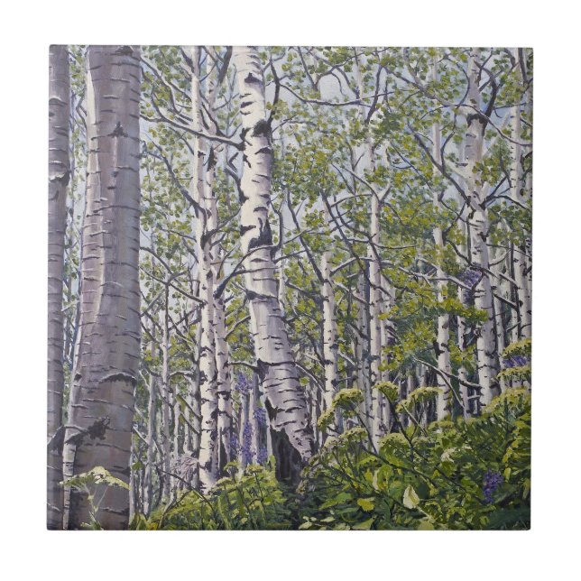 Aspen Tree Forest Ceramic Tile (Front)
