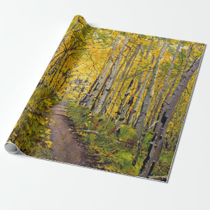Aspen Tree Forest in Autumn Wrapping Paper