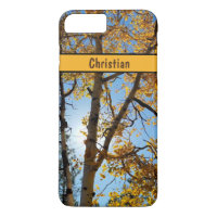 Aspen Tree Golden Fall Foliage Arizona