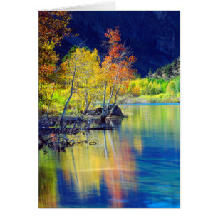 Aspen tree in autumn reflecting in Grant Lake