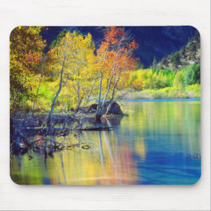 Aspen tree in autumn reflecting in Grant Lake Mouse Pad
