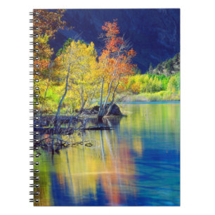 Aspen tree in autumn reflecting in Grant Lake Notebook
