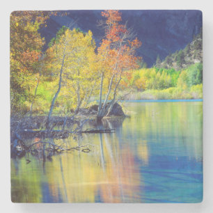 Aspen tree in autumn reflecting in Grant Lake Stone Coaster