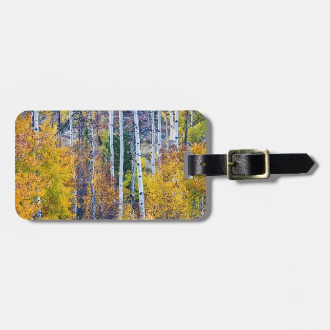 Aspen Tree Magic Cottonwood Pass Luggage Tag (Front Horizontal)