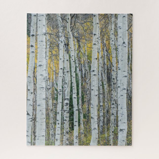 Aspen Tree Trunks | Aspen, Colorado Jigsaw Puzzle (Vertical)