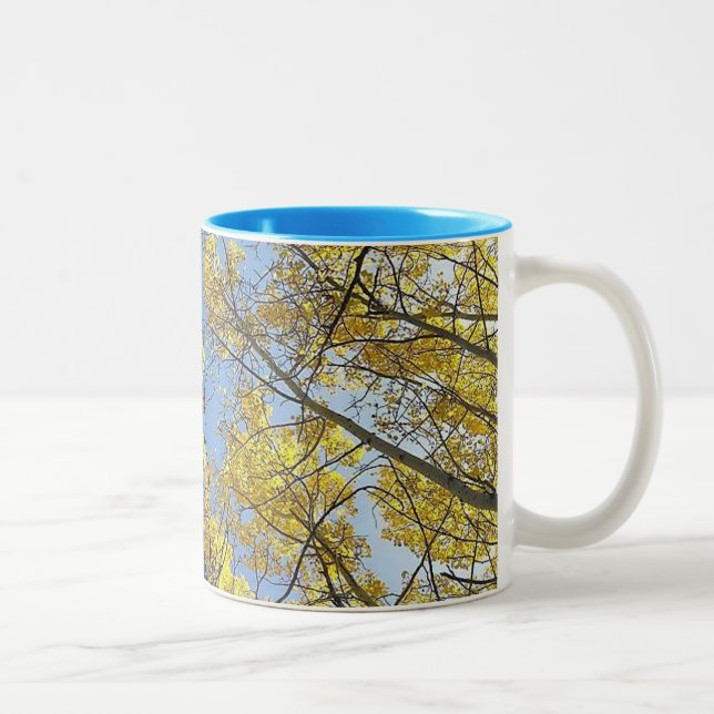 Aspen Tree Two Tone Mug (Right)