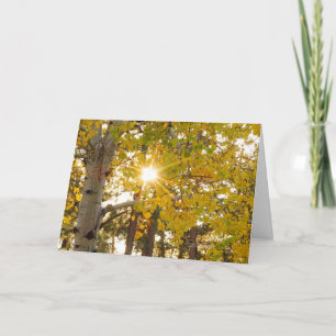 Aspen Tree With Yellow Fall Foliage And Sunburst Card