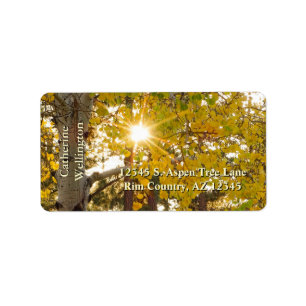 Aspen Tree With Yellow Fall Foliage And Sunburst Label