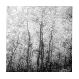 Aspen Trees - Black & White Ceramic Tile