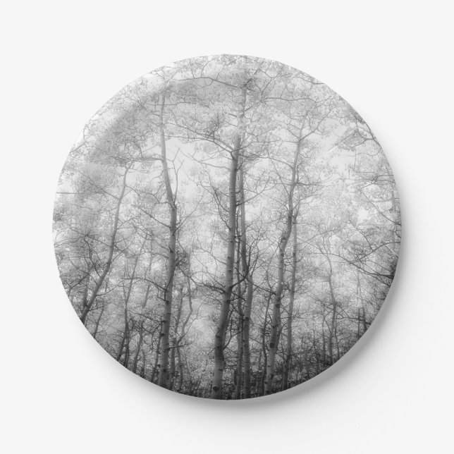 Aspen Trees - Black & White Paper Plate (Front)