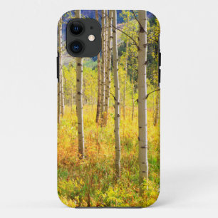 Aspen Trees in Autumn in the Rockies iPhone 11 Case