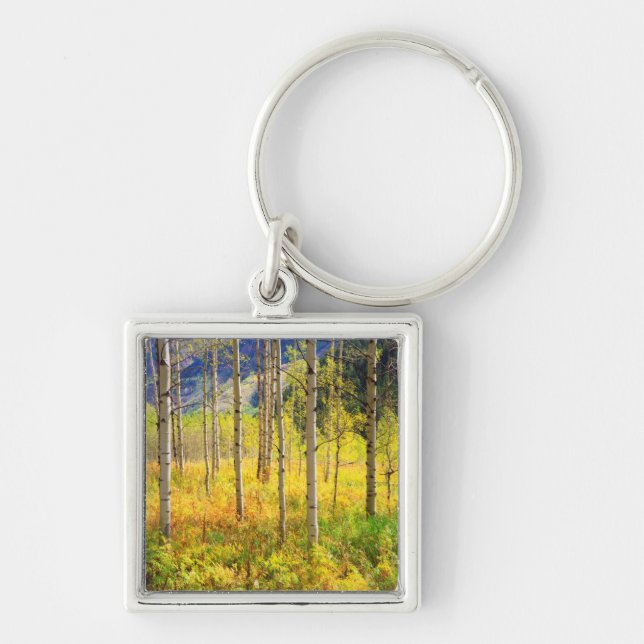 Aspen Trees in Autumn in the Rockies Key Ring (Front)