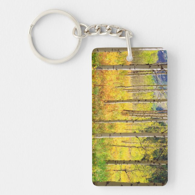 Aspen Trees in Autumn in the Rockies Key Ring (Front)