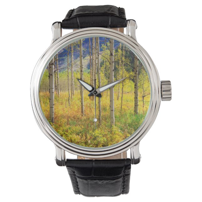Aspen Trees in Autumn in the Rockies Watch (Front)