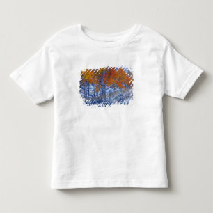 Aspen trees in Fall colours, Bighorn Mountains, Toddler T-Shirt
