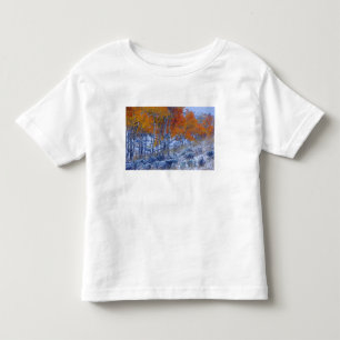 Aspen trees in Fall colours, Bighorn Mountains, Toddler T-Shirt