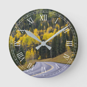 Aspen trees in northern Arizona Round Clock