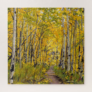 Aspen Trees in the Autumn Colours Jigsaw Puzzle