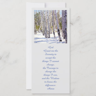 Aspen Trees in the Forest